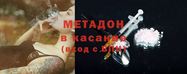 прущие грибы Елизово