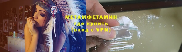 прущие грибы Елизово