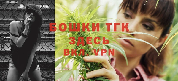 скорость Ельня