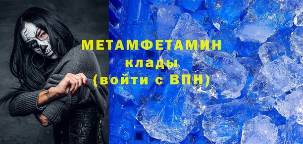 прущие грибы Елизово
