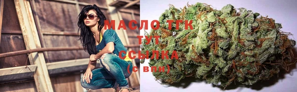 скорость Ельня