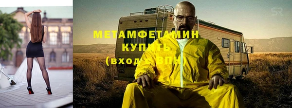 прущие грибы Елизово