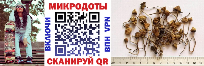 площадка формула  Сураж  Галлюциногенные грибы ЛСД 